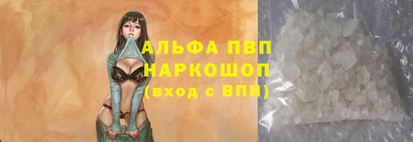 молекула духа Арсеньев