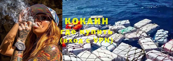 молекула духа Арсеньев