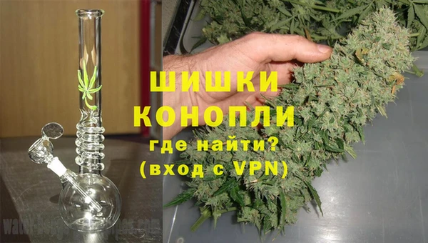 молекула духа Арсеньев