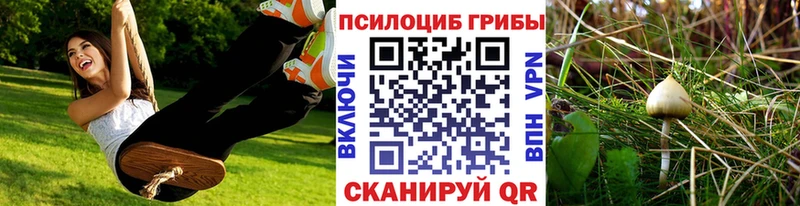 Псилоцибиновые грибы GOLDEN TEACHER  Усть-Лабинск 